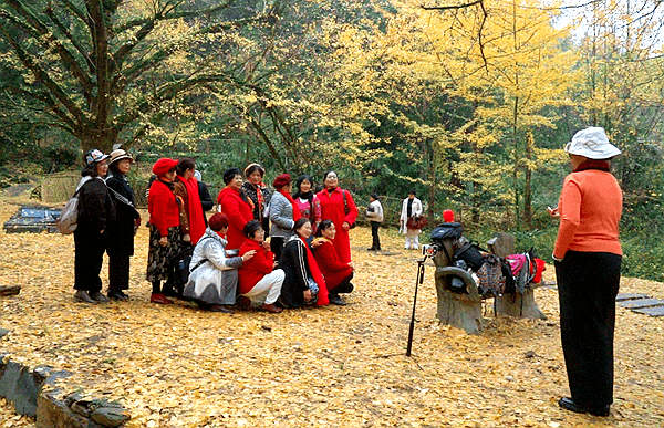 雙牌桐子坳村:深耕