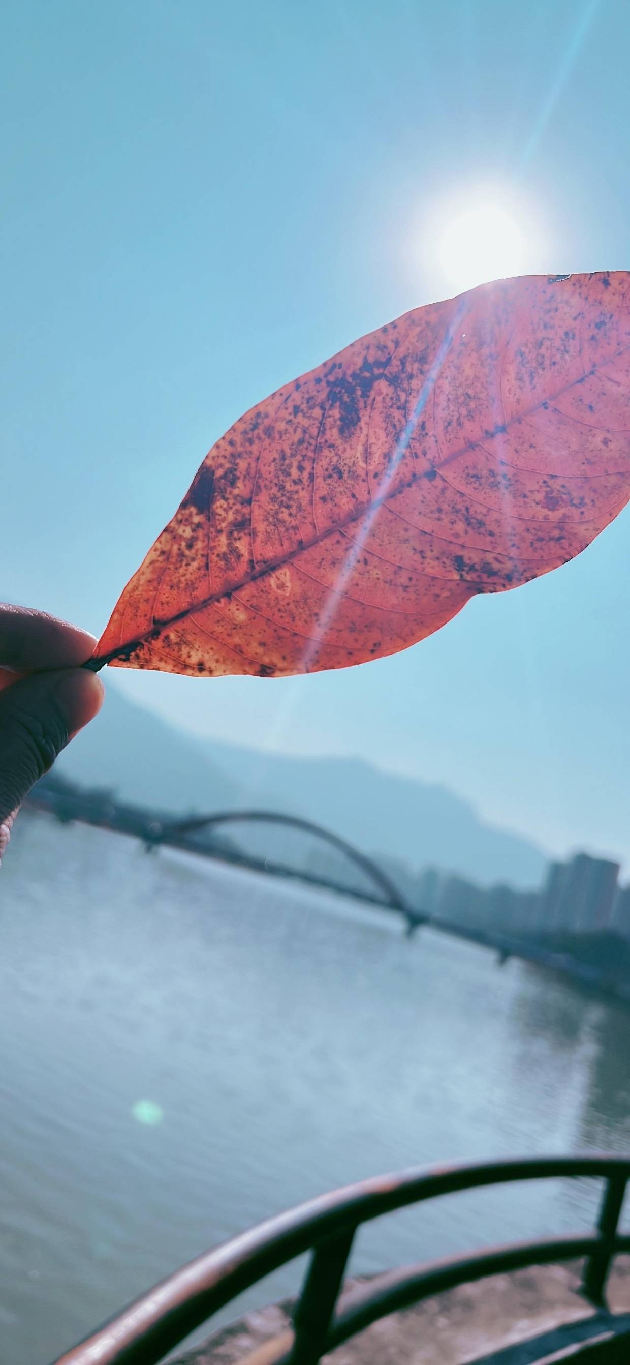 第24027期福彩双色球晒票：两组万元票出击，剑指亿元巨奖，仅供欣赏请理性看_人生路_生命_事情