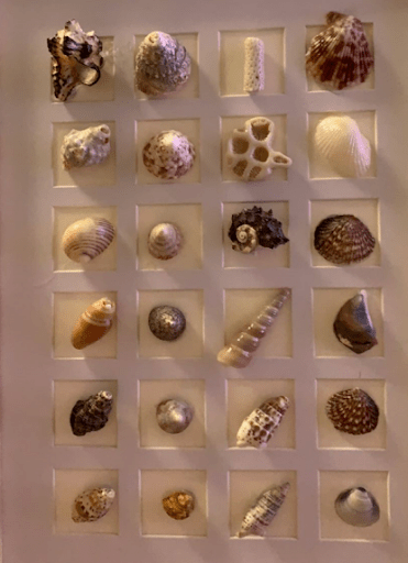 2米以下不收费)上岛门票,98元/人(1.