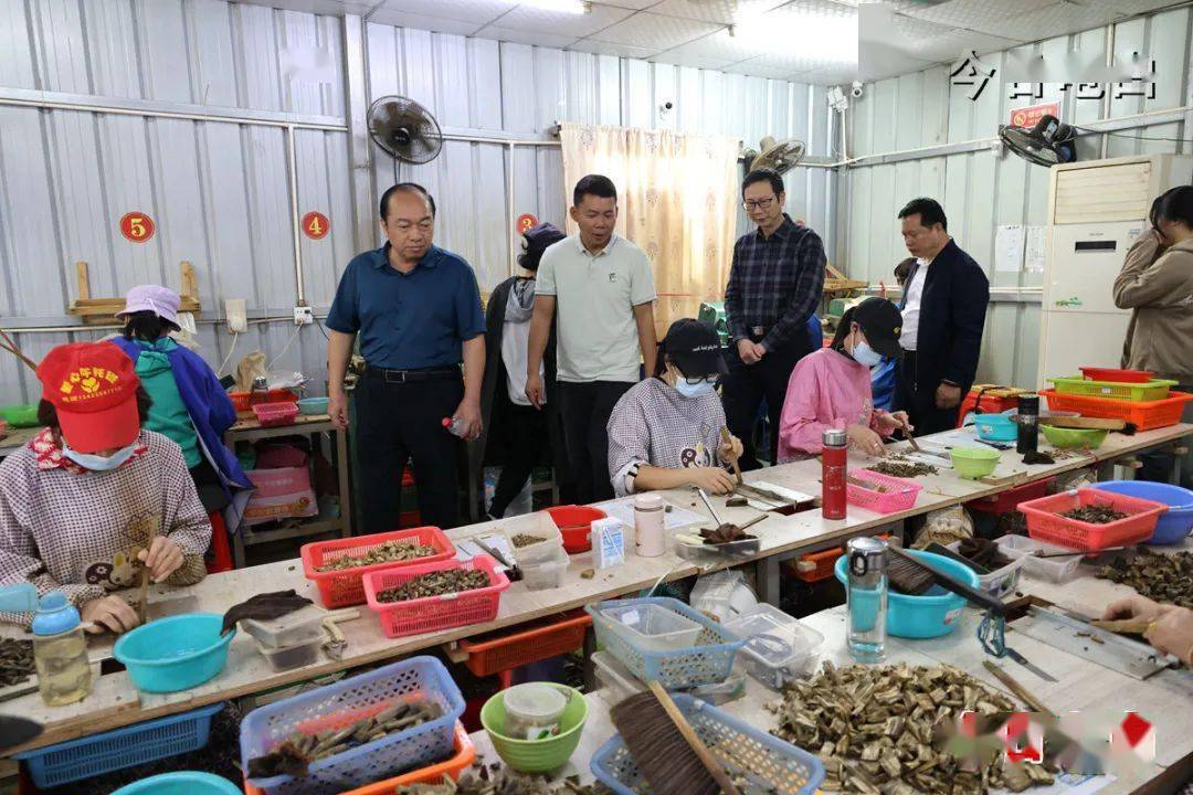 电白区建筑业协会,电白区沉香联合会在观珠镇举行产业高质量发展研讨