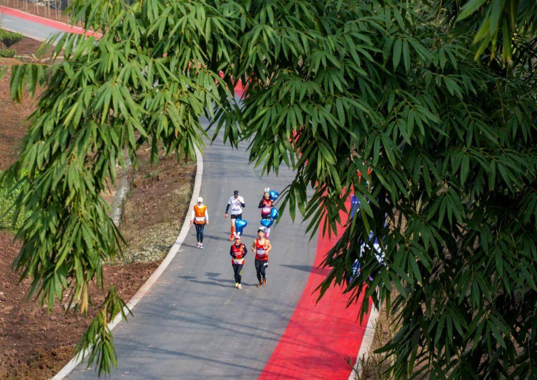 招募| 2023重庆·荣昌马拉松赛招募"官兔"_官方_赛事_总分