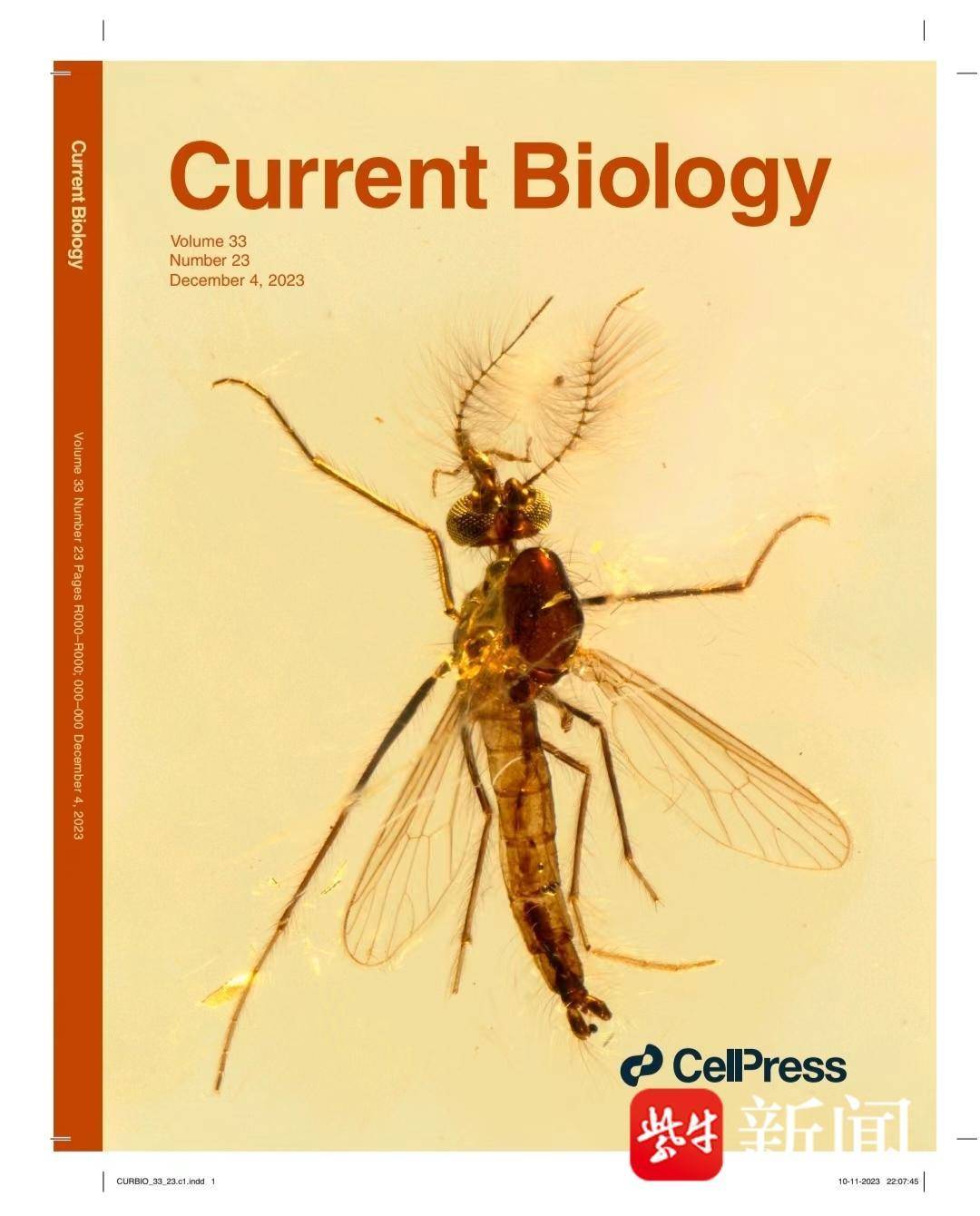 3亿年前,雄蚊子也吸血_昆虫_化石_口器