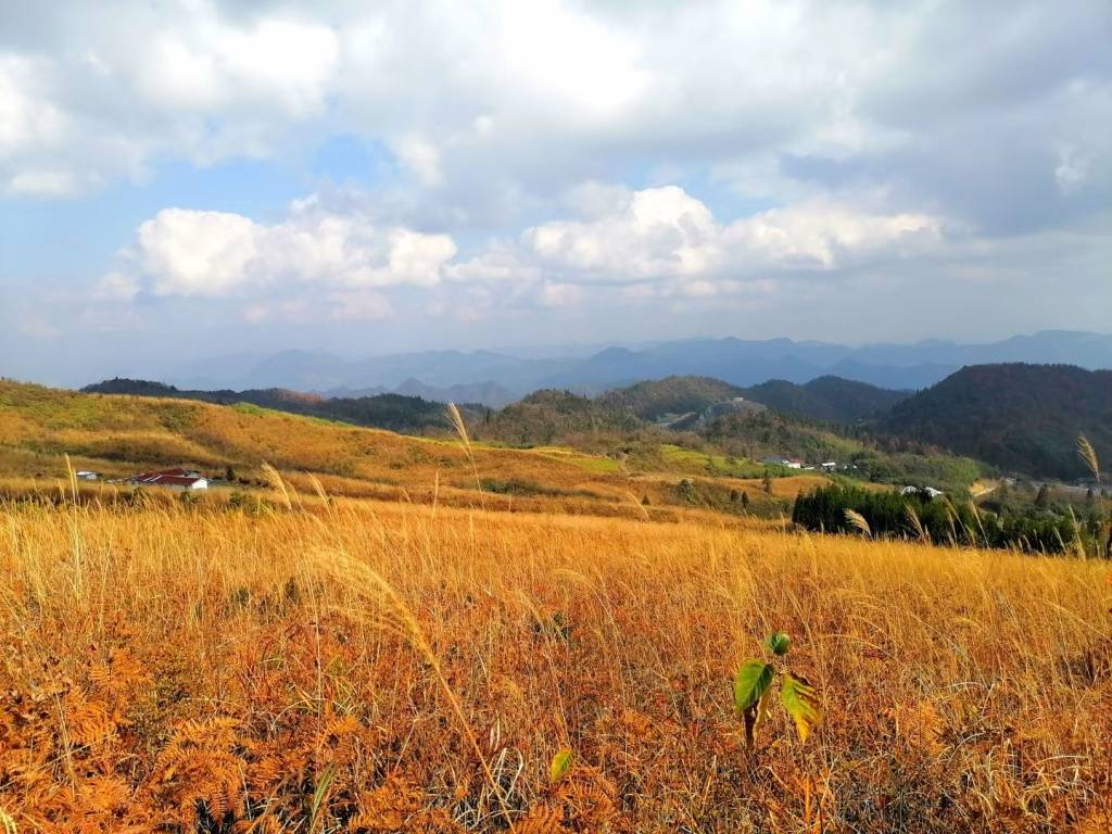 湖北省宣恩县珠山镇图片