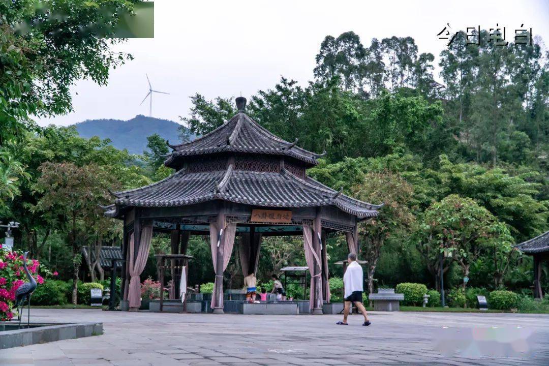电白这个胜地,晋级"五星"!_温泉_中国_旅游
