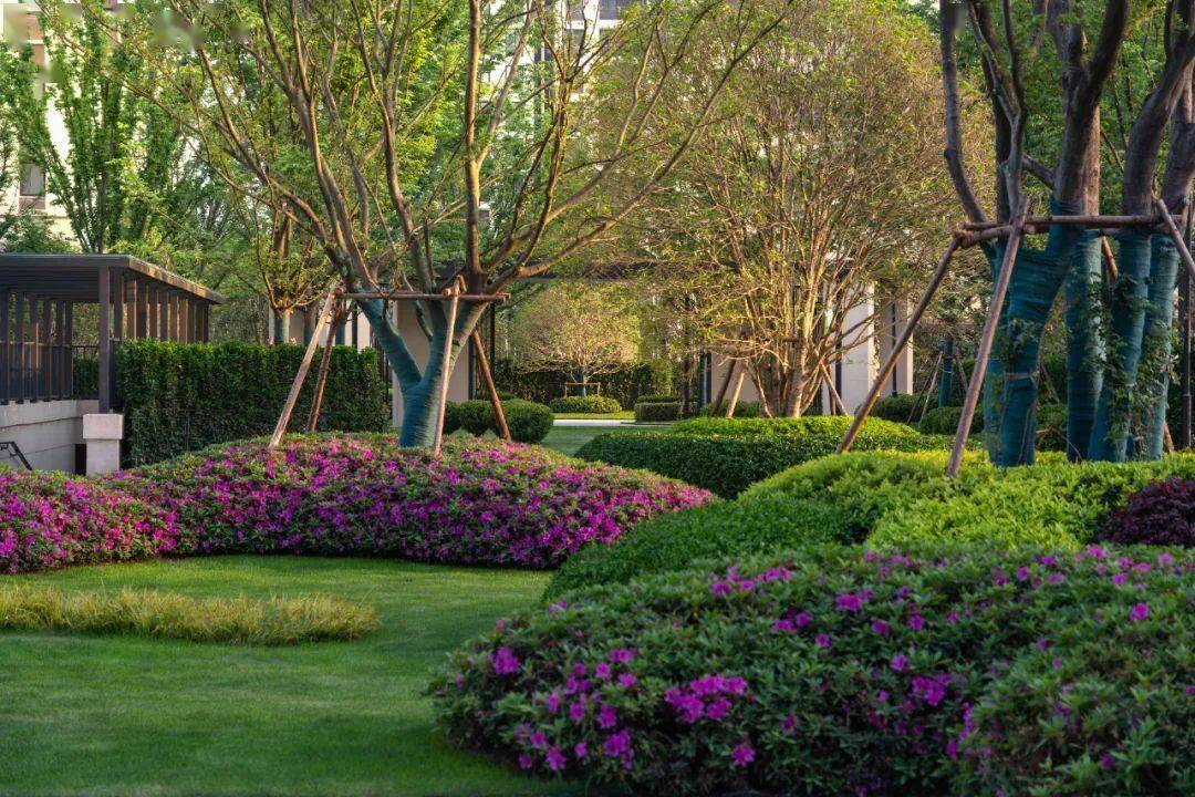 广东新山水文化发展有限公司正商祯瑞上境大区 山水比德广亩景观 iam