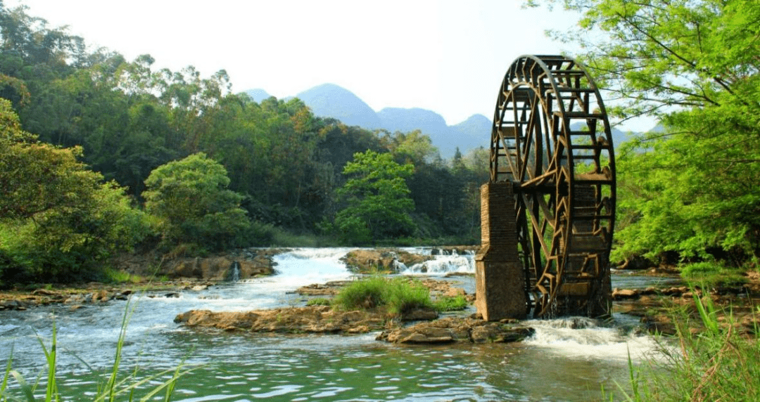 罗平旅游景点介绍图片