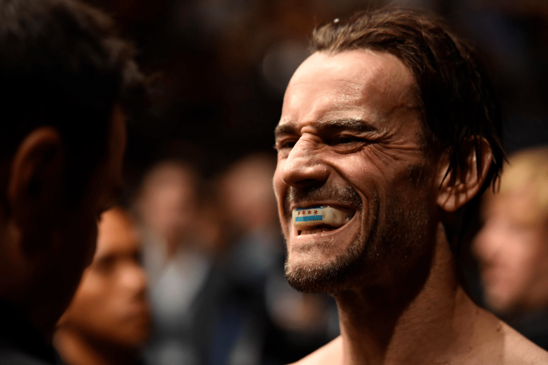 aj李有望回归,联手cm朋克对阵塞斯夫妇!_未来_荧幕_贝斯·菲尼克斯