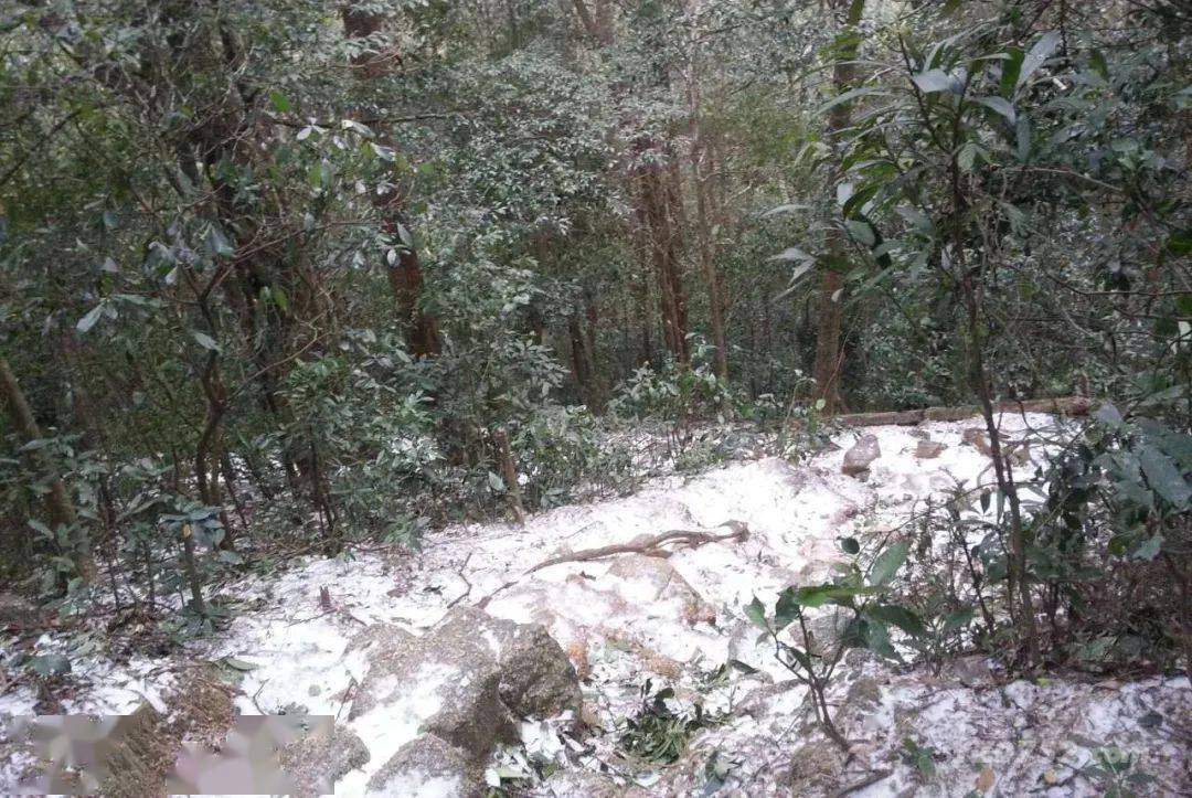 罗浮山下雪图片