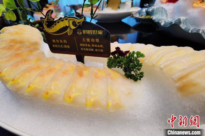 (寻味中华|饮食)抚远鲟鳇宴:一锅之内品一鱼百味_黑龙江_哈尔滨_鱼肉