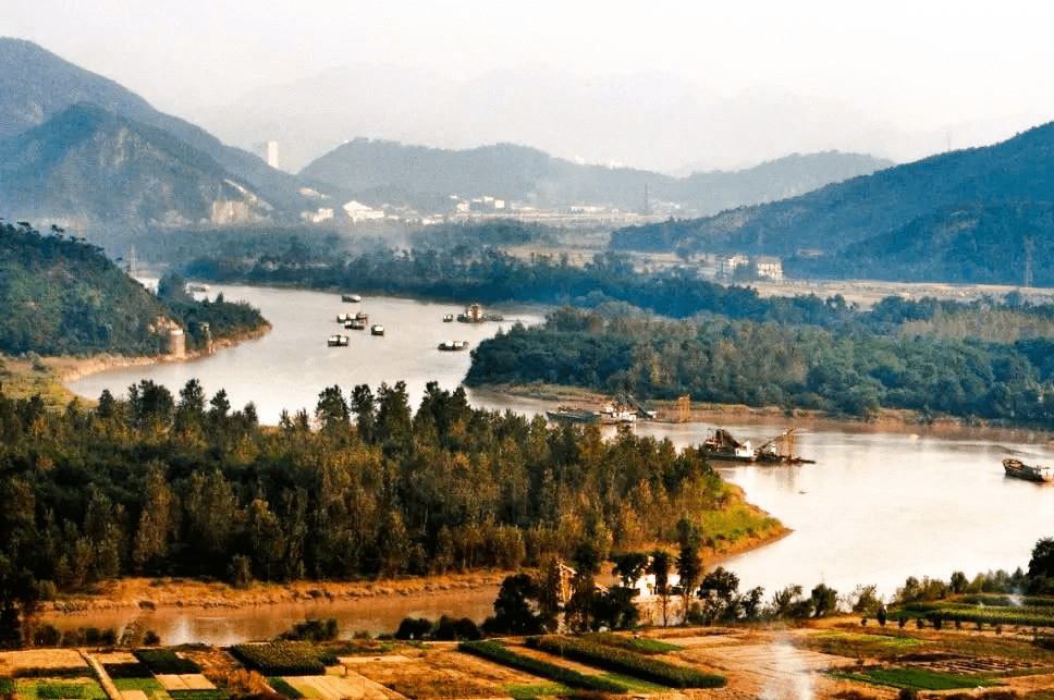 临海有个国家级湿地公园,快来邂逅冬日最浪漫的风景!_三江_红杉_城市