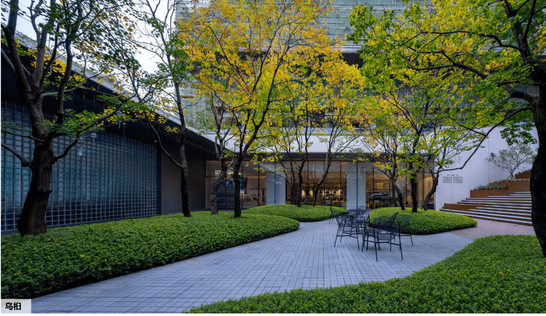 树阵/片植效果的场地设计篇,附品种推荐