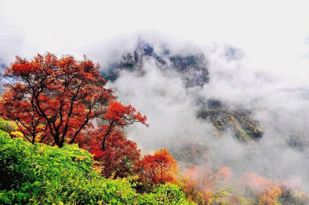 99始于文成县大峃镇珊门村云枫路首,止于里阳西山村漈头庵.