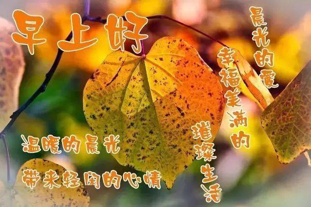 最新早上好祝福問候短句,幸福滿滿,快樂每一天_人生