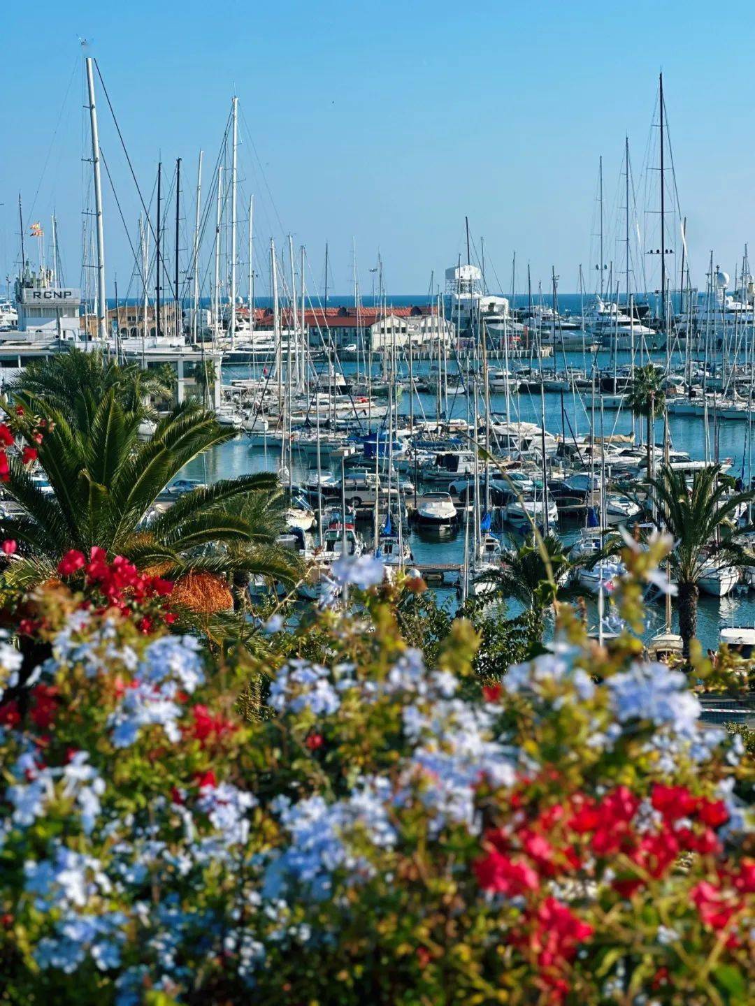 西班牙海岛小镇palma|地中海后花园闲逛的惊喜发现