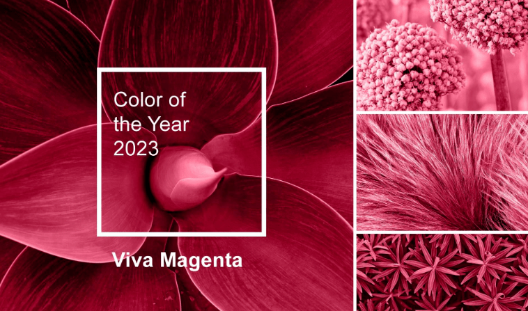 2022年度流行色长春花蓝(very peri)2021年度双流行色亮丽黄