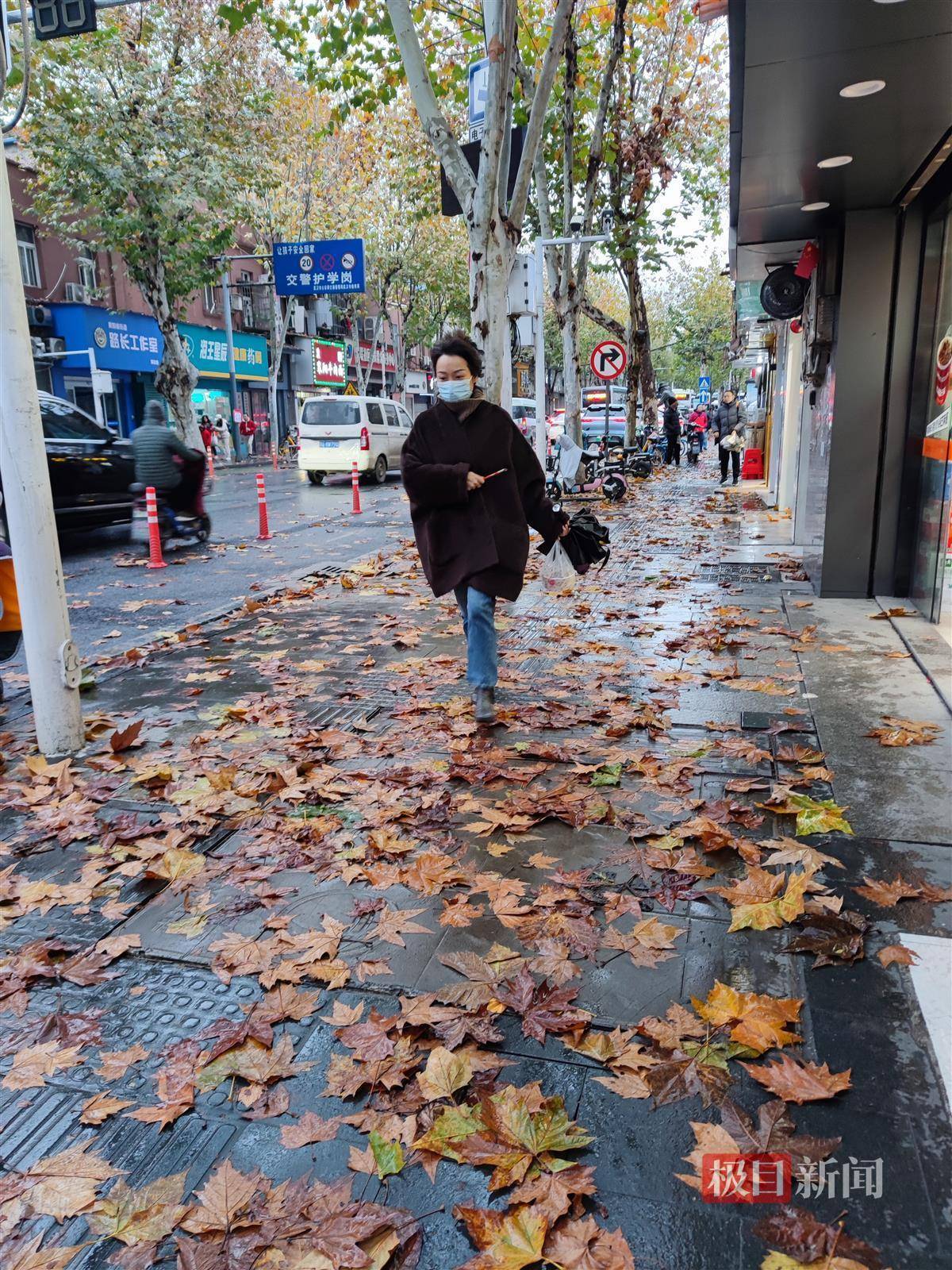 寒风扫落叶，武汉大降温_跌破_天气_来袭