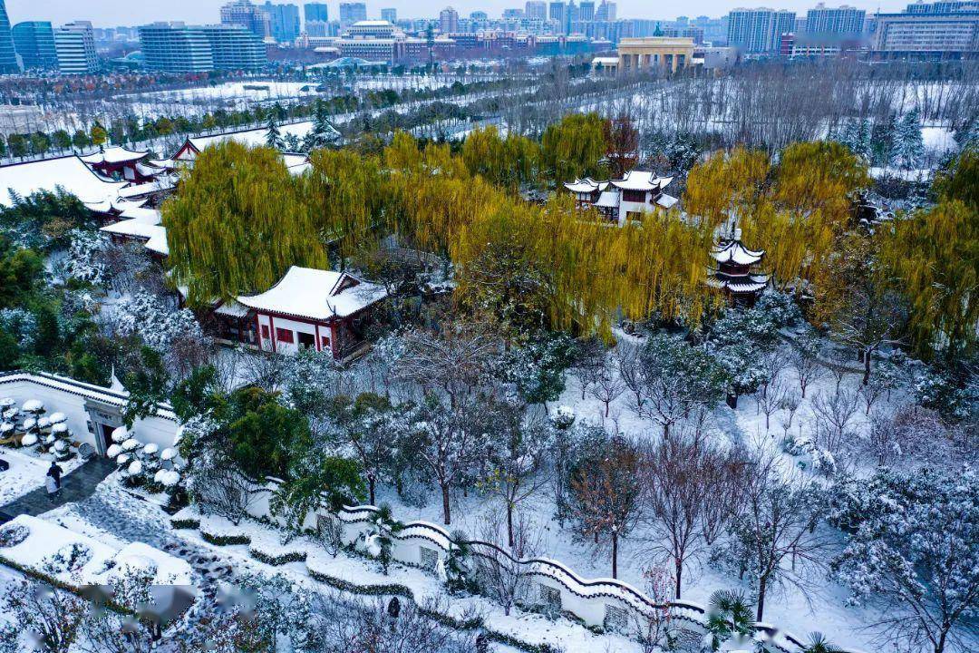 河南高校开启雪景刷屏模式_郑州_应用技术学院_职业