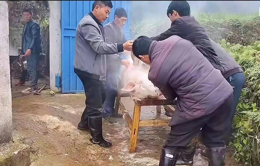 城市烟火气丨"杀猪饭"开吃 让"年味"渐浓_乌蒙_六盘水市_余恒