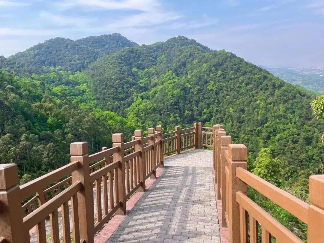 南温泉|藏在市区里的"小华山",快来赴一场山野之约~_步道_登山_自然
