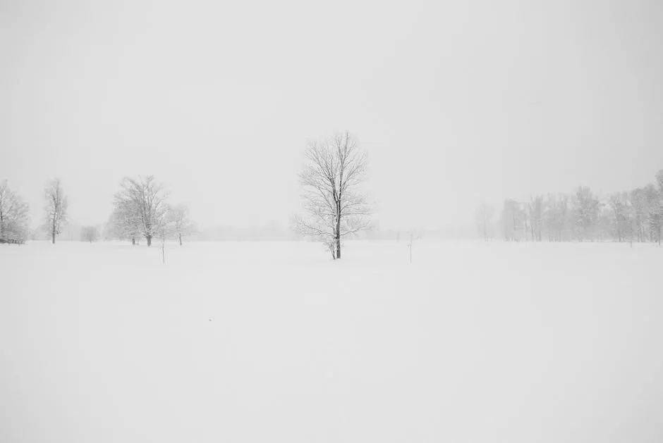 山東省應急管理廳發佈寒潮雨雪天氣災害風險預警提示_防範_工作_措施