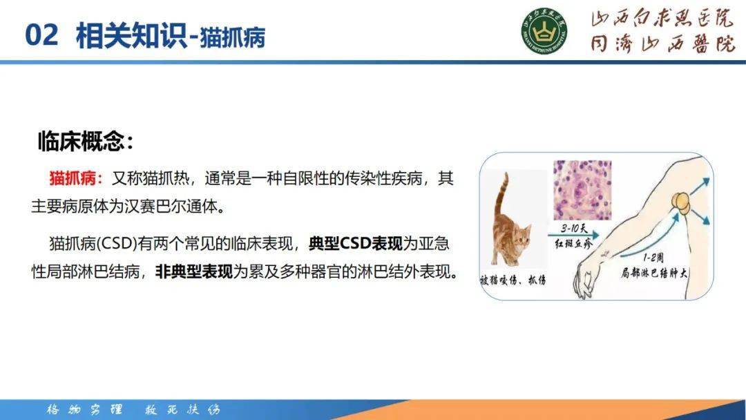 【ppt】一例汉塞巴尔通体伤口感染患者的护理_国际_急救_专业