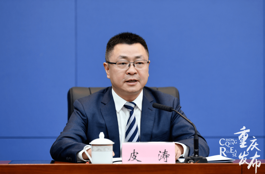 皮涛回答记者提问 邹乐 摄皮涛介绍,市委市政府将软件信息服务列为"