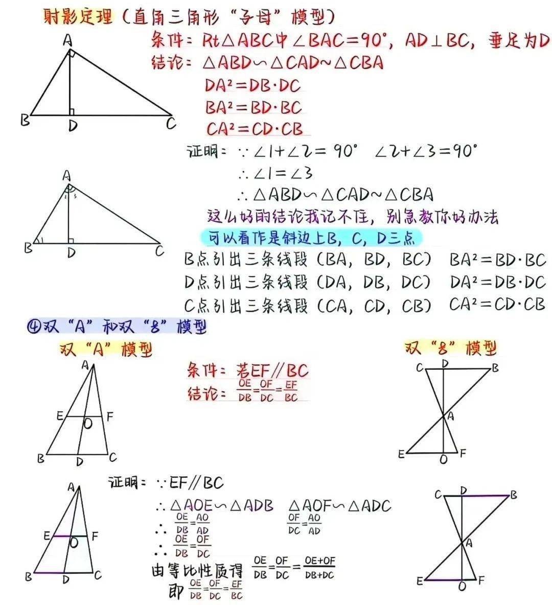 相似象学会誌　相似象　第六号 衣带渐宽终不悔为伊消得人憔悴迟志鸿书楷书69cm X69cm 草书69cm