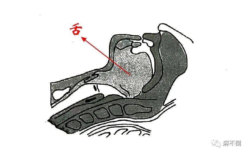 【毓医来了】保持呼吸通畅,麻醉医生一生的六字真言