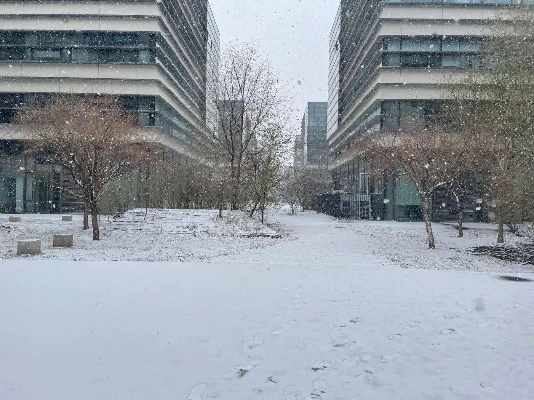 【津城天氣】四預警齊發!暴雪寒潮都來了!暴跌8-10℃!