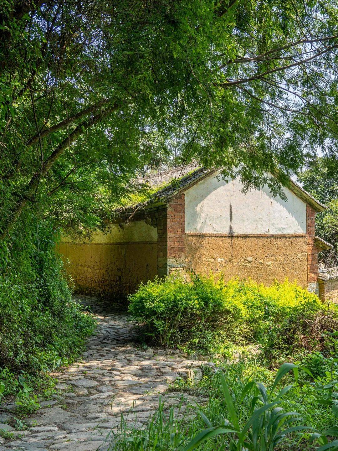 自然村_文化_公示