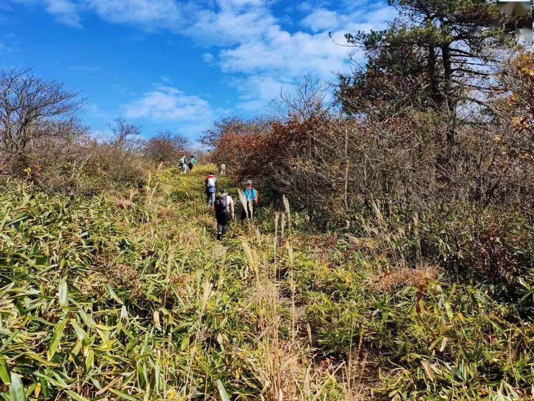 東天目山主峰大仙頂,海拔1479.7米;西天目山主峰仙人頂,海拔1505.7米.