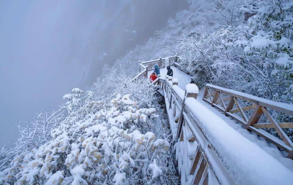 马上下雪!玩雪的梦想就要在灵山实现啦!_许可_版权_雪景
