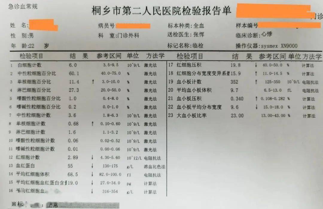 严重贫血化验单图片图片