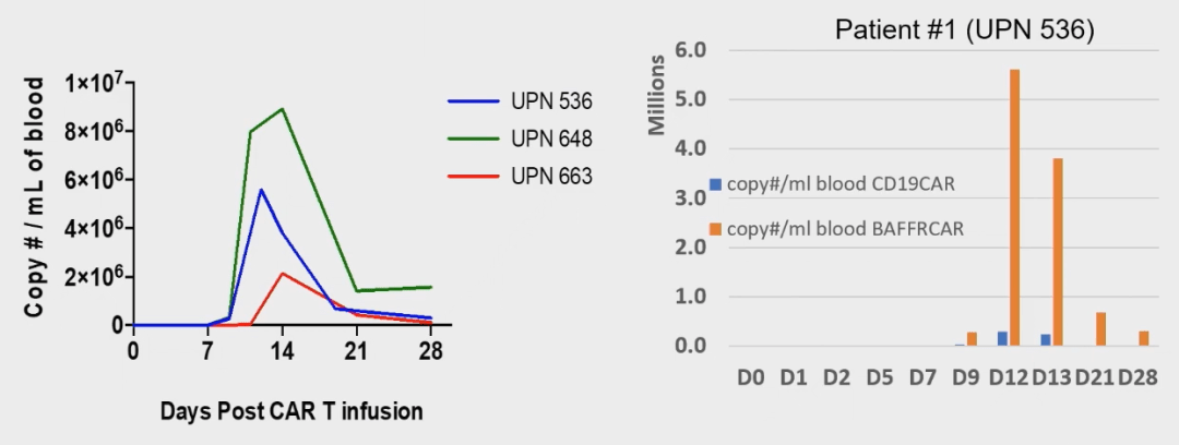 的car-t細胞擴增,在第12天(患者1)和第14天(患者2和3)達到擴增峰值(2