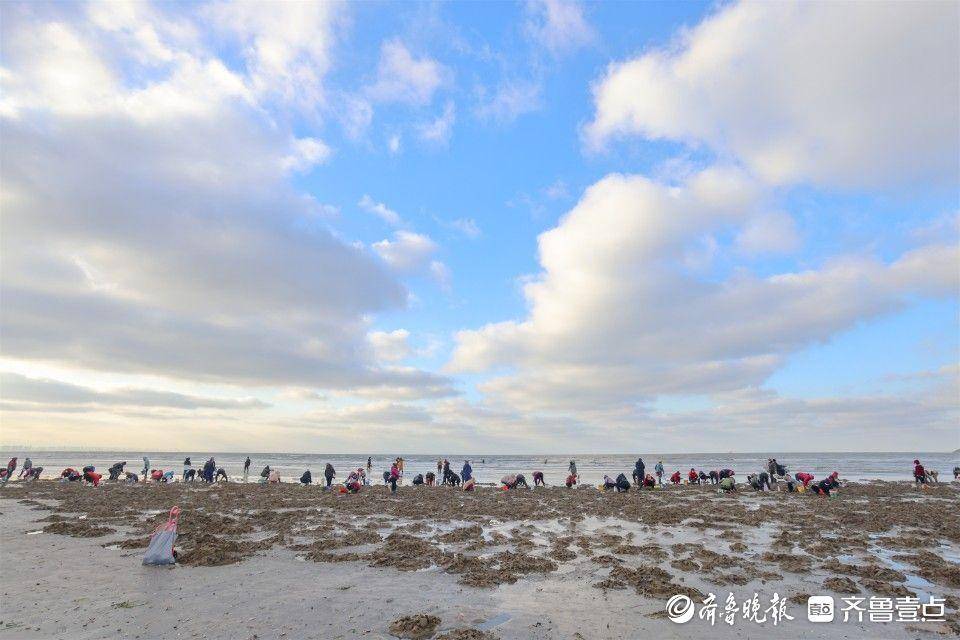 在烟台芝罘区滨海西路附近的海边,不少市民趁退潮时提着小桶,拿着小铲