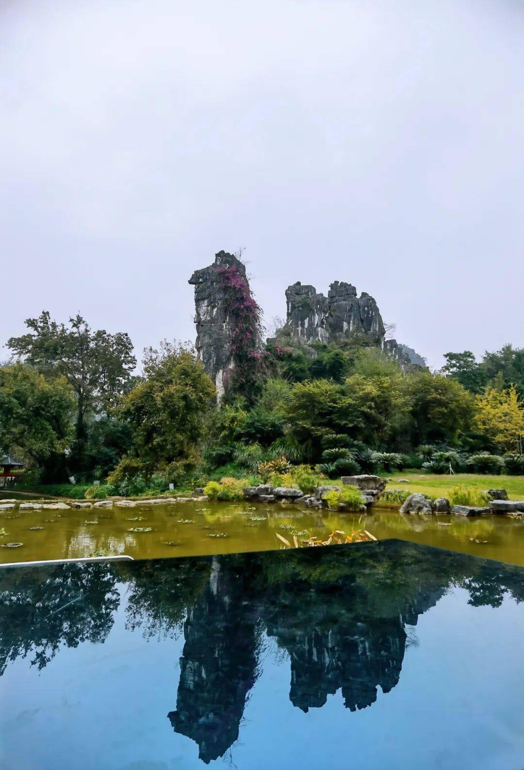 神奇的桂林骆驼峰 / 陈泰才