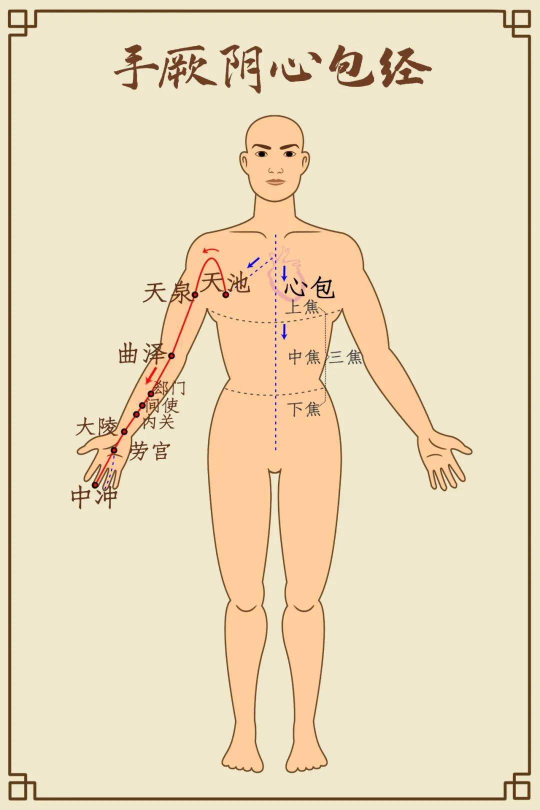 手少阳三焦经循行图解图片
