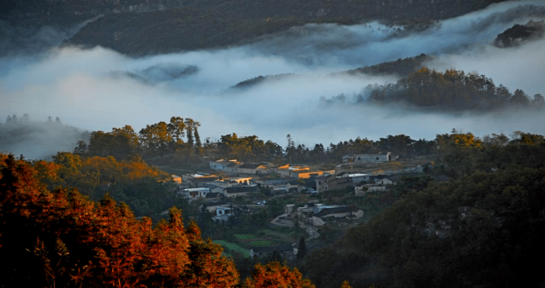 曲靖來了就不想走 來看張信哲演唱會您可以這樣玩_景區_旅遊_羅平縣