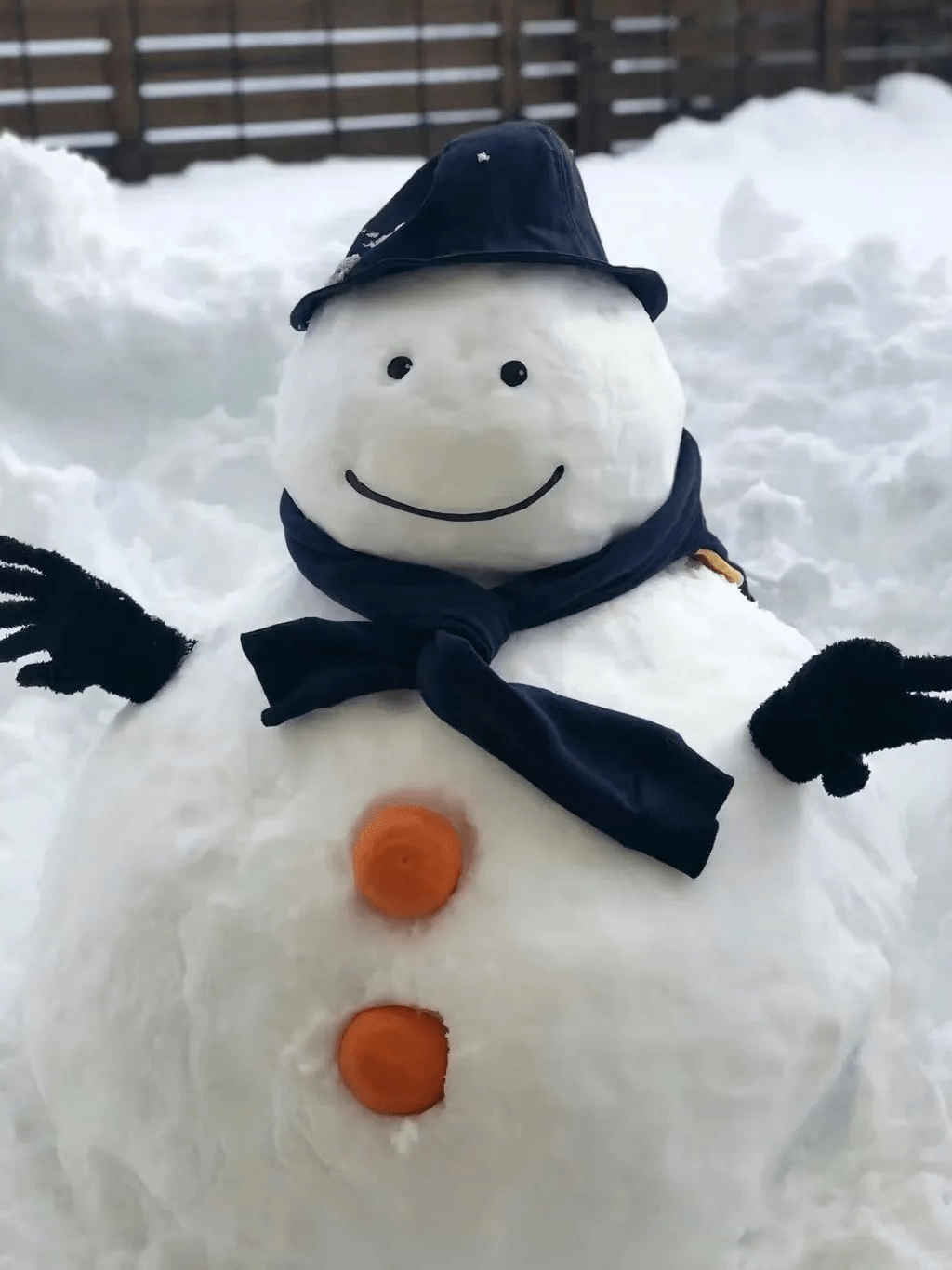 职业技术学院一群充满活力的大学生开始了他们的雪人制作之旅他们发挥