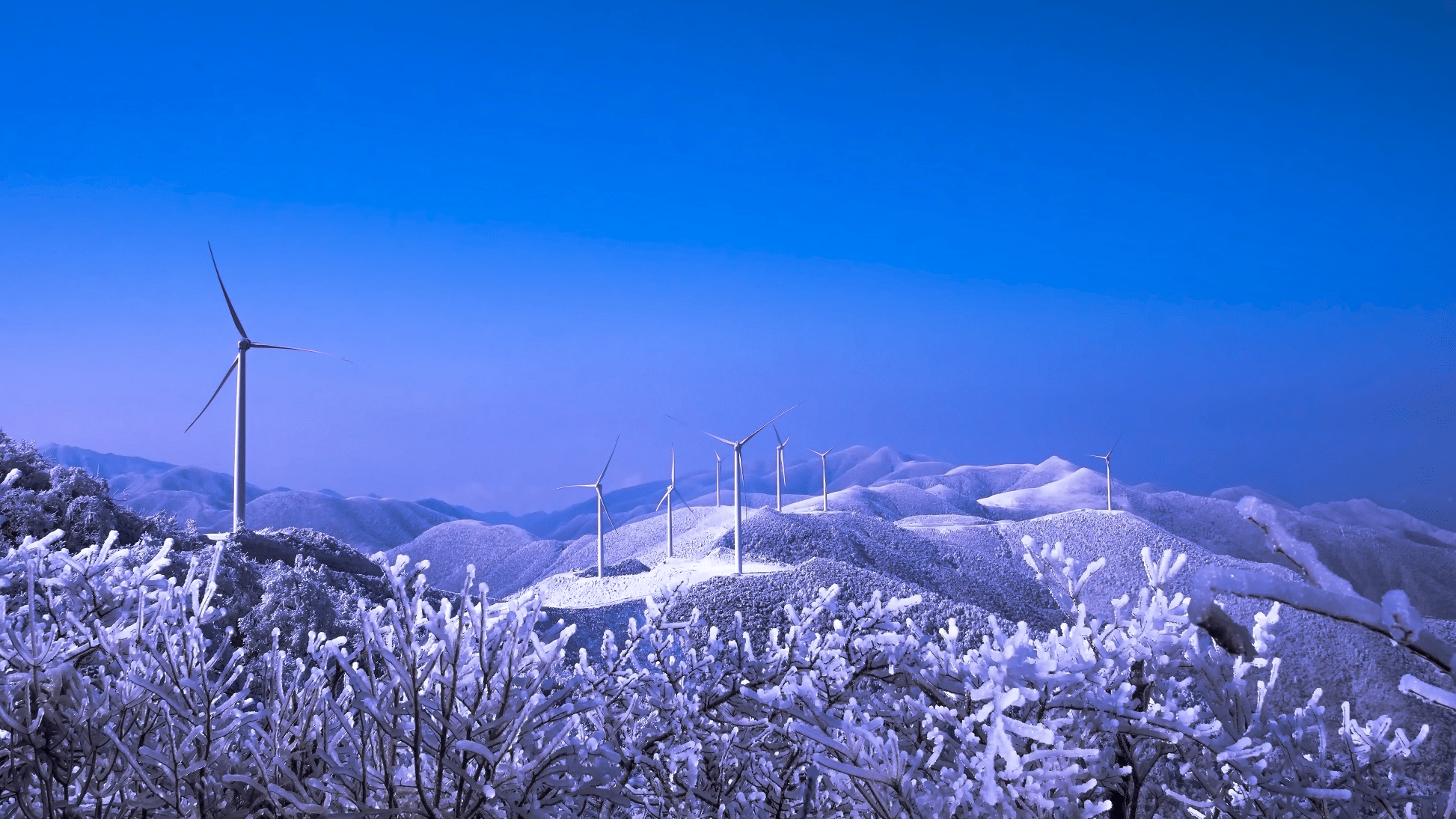 冬天就在湖南賞雪 10個自然保護地賞雪指南提前知_雪景_霧凇_陳雙蘭