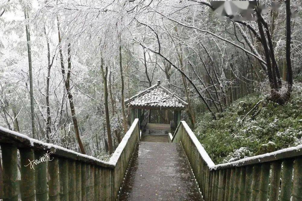 這有場冬日康養之旅即將啟程→_溫泉康_巴山_川東