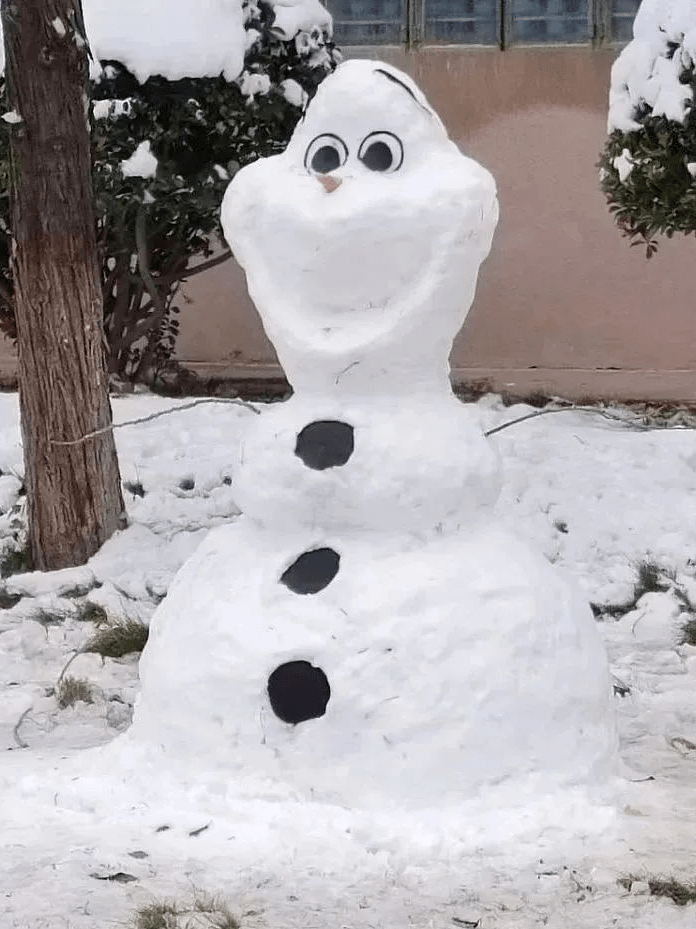 化了的雪人图片大全图片