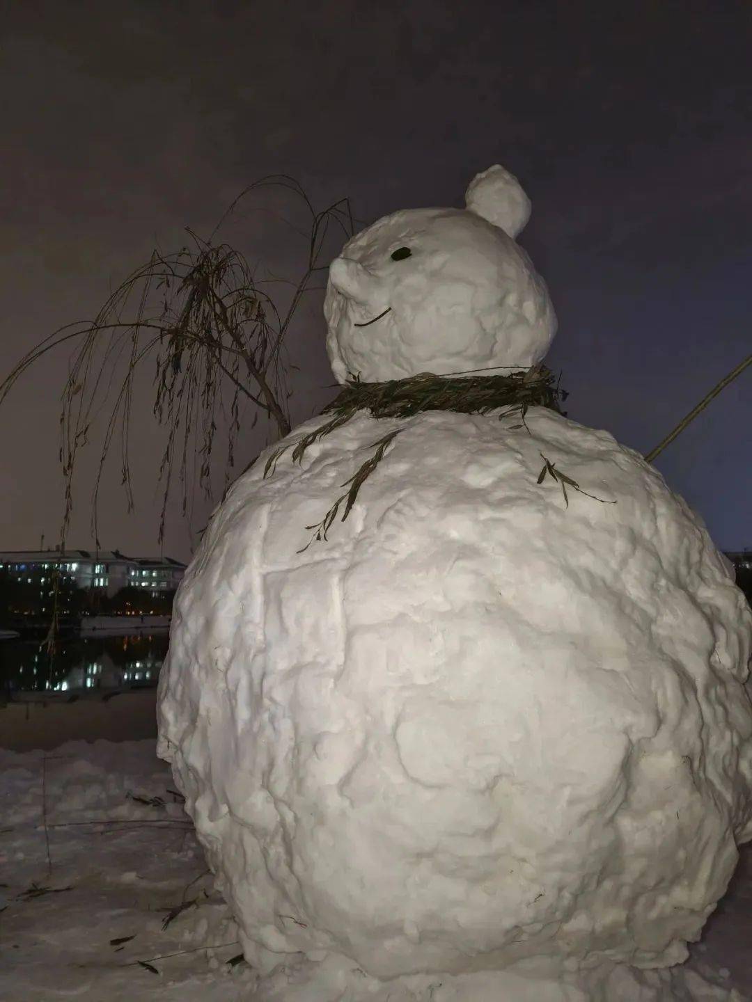 雪人造型大pk,快来看看河南大学生的新创意!_郑州_校园_冬日