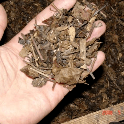 关节伸屈受限,当心是水土不"氟"!两点可快速自查_地方性_生活_症状