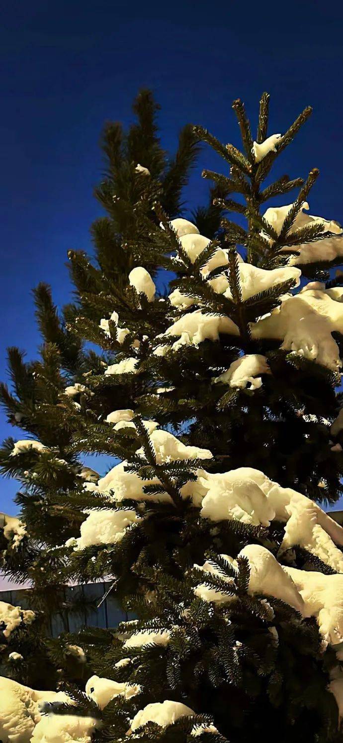 壁纸| 存一下好看锁屏壁纸