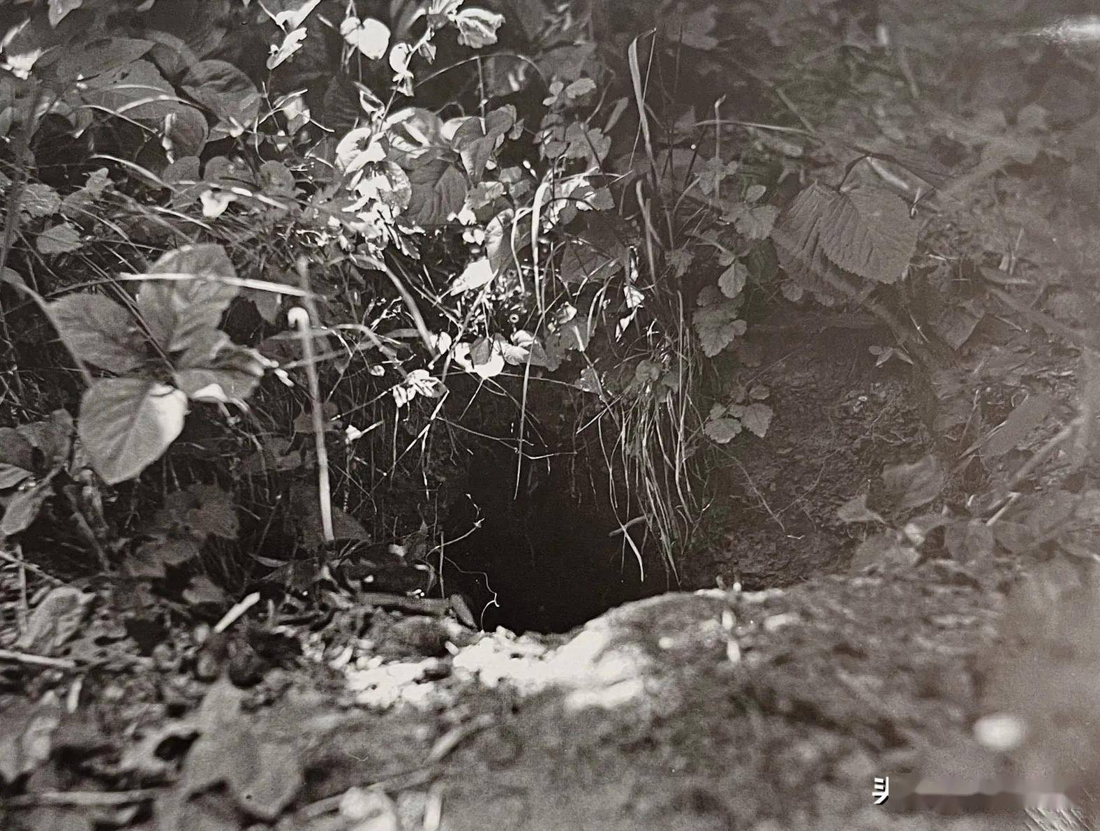 老照片:汉奸周佛海庾死狱中,日副领事藏本失踪事件(241)_抗战_英雄