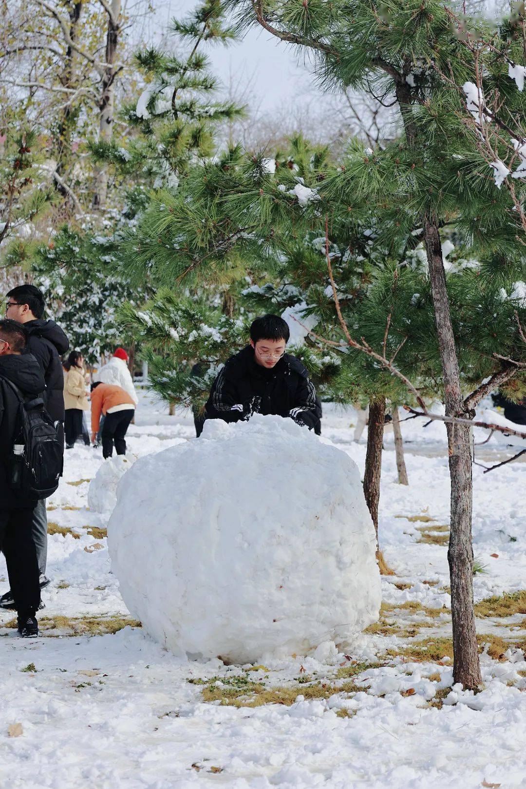 snowing_雪景_图片