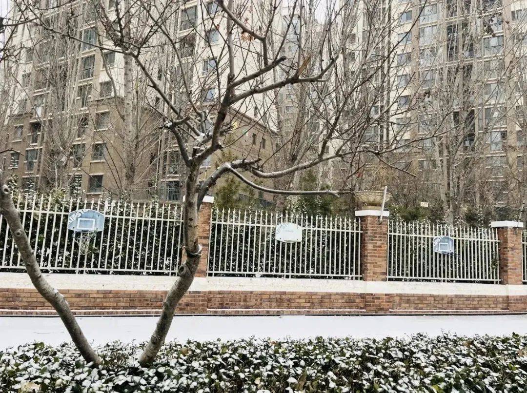 漫天飄雪——是冬爺爺送來的禮物遇見雪孩子們是這樣的.