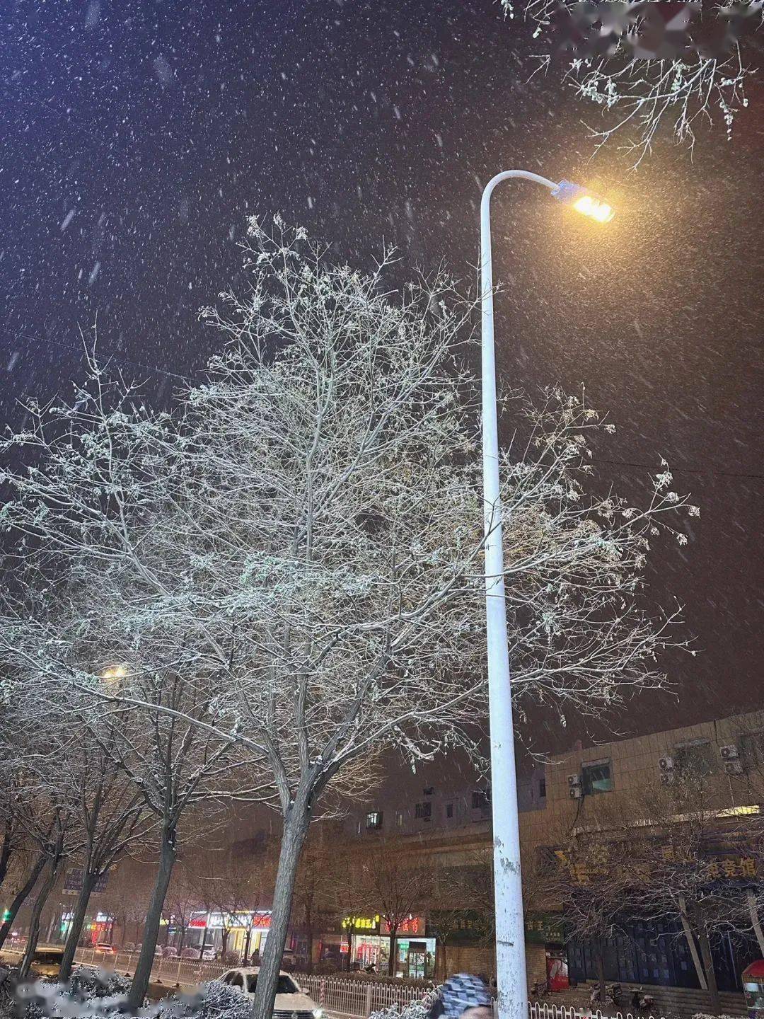 路灯下的雪夜图片图片