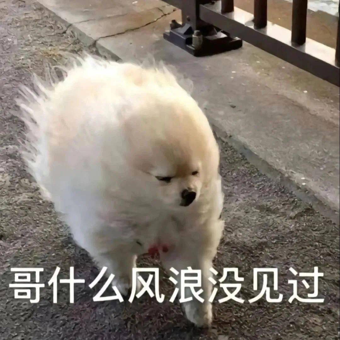 聊天实用表情包:多发点我爱看_公众_一个人_熊猫头